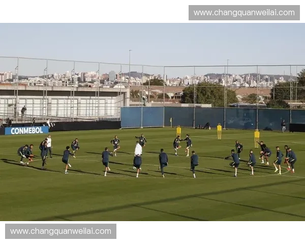 聚焦美洲联赛全面探寻足球竞技多元化创新发展新潮流趋势动向解析