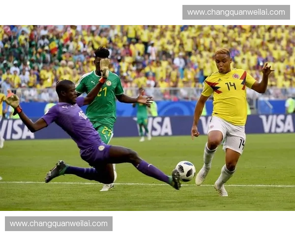 深入解析巴西是否拥有完善且具国际影响力的职业足球联赛体系现状