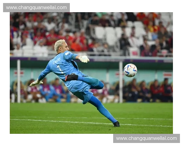 2015年世界杯精彩回顾与历史性瞬间:冠军之争与突破性表现分析